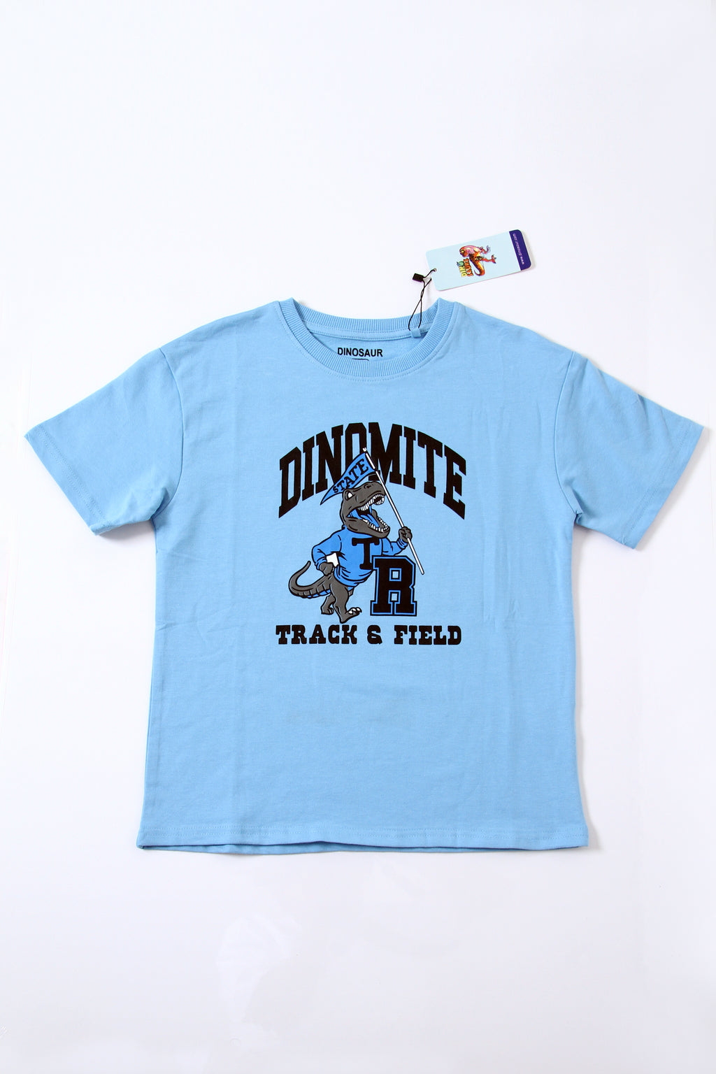 Boys Cotton Summer T-Shirt and Shorts Set – Soft Comfortable Casual Outfit, Ages 2-12 Years