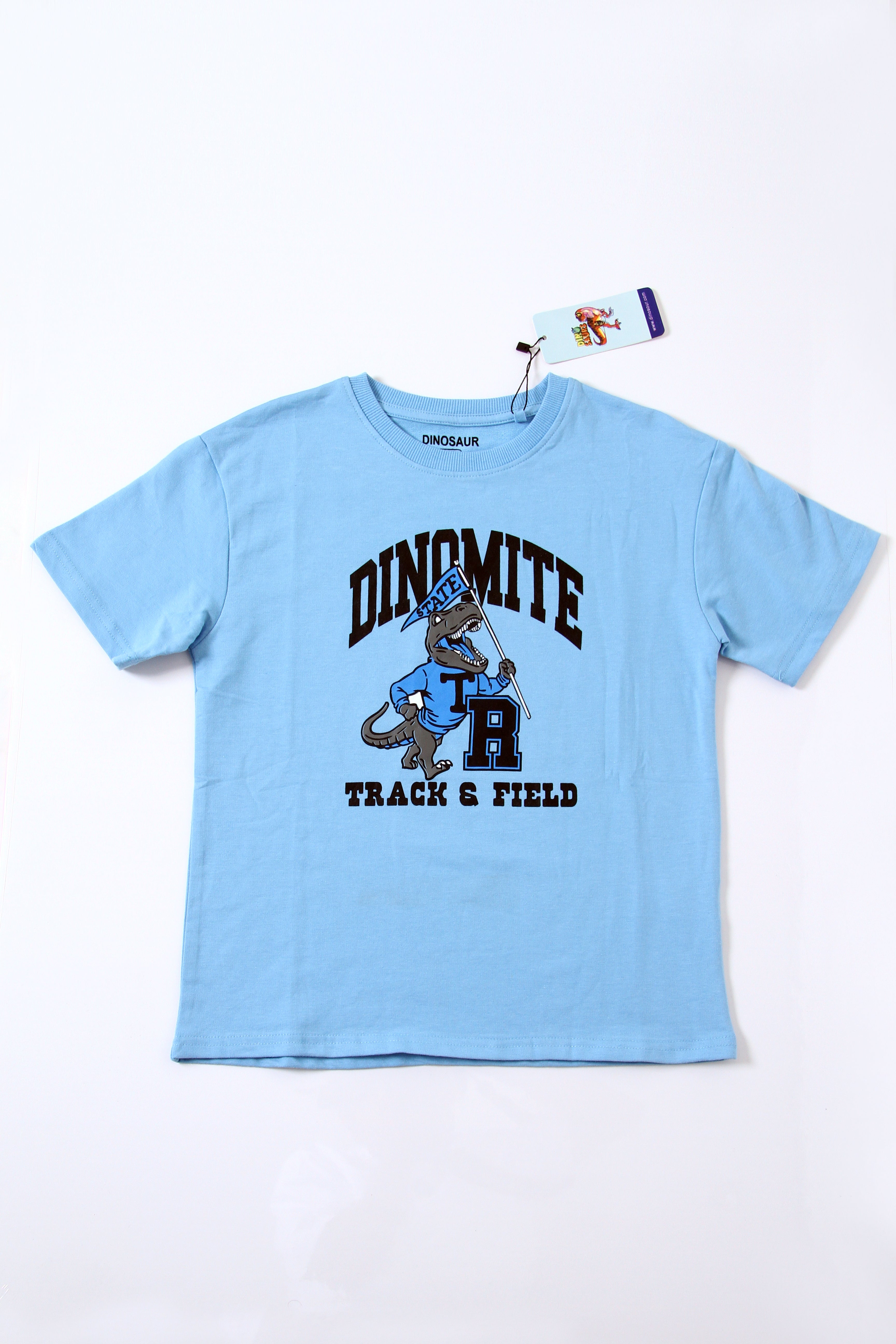 Boys Cotton Summer T-Shirt and Shorts Set – Soft Comfortable Casual Outfit, Ages 2-12 Years