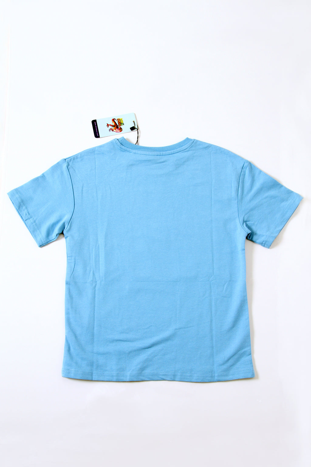 Boys Cotton Summer T-Shirt and Shorts Set – Soft Comfortable Casual Outfit, Ages 2-12 Years